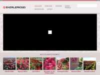 www.ekerlerroses.com