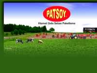 www.patsoy.com