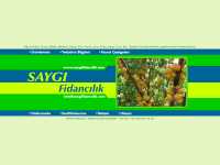 www.saygifidancilik.com