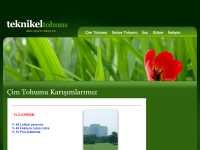 www.teknikeltohum.com