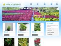 www.yalovafidan.com